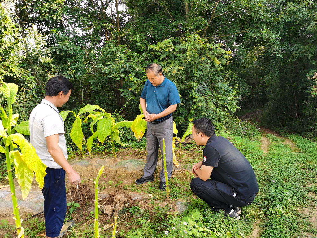 304am�������Ź���(�й�)���޹�˾-Official Website