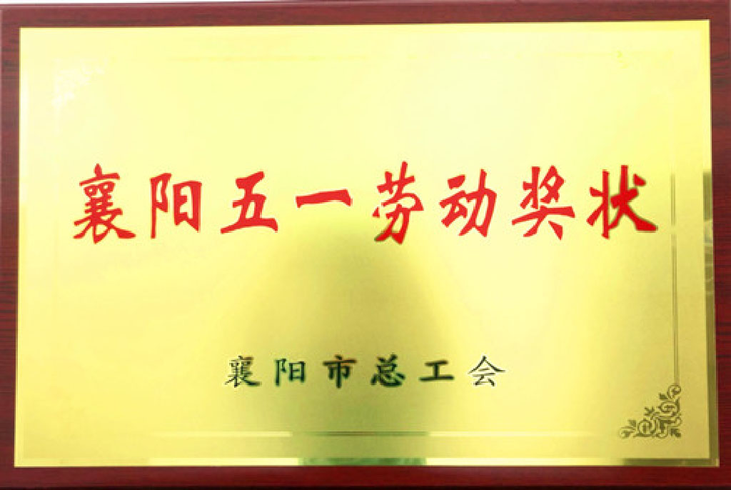 2020������һ�Ͷ���״