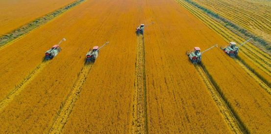 304am�������Ź���(�й�)���޹�˾-Official Website