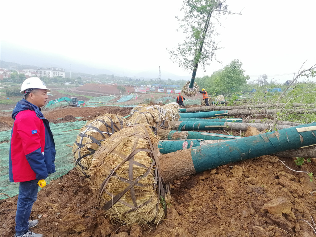 304am�������Ź���(�й�)���޹�˾-Official Website