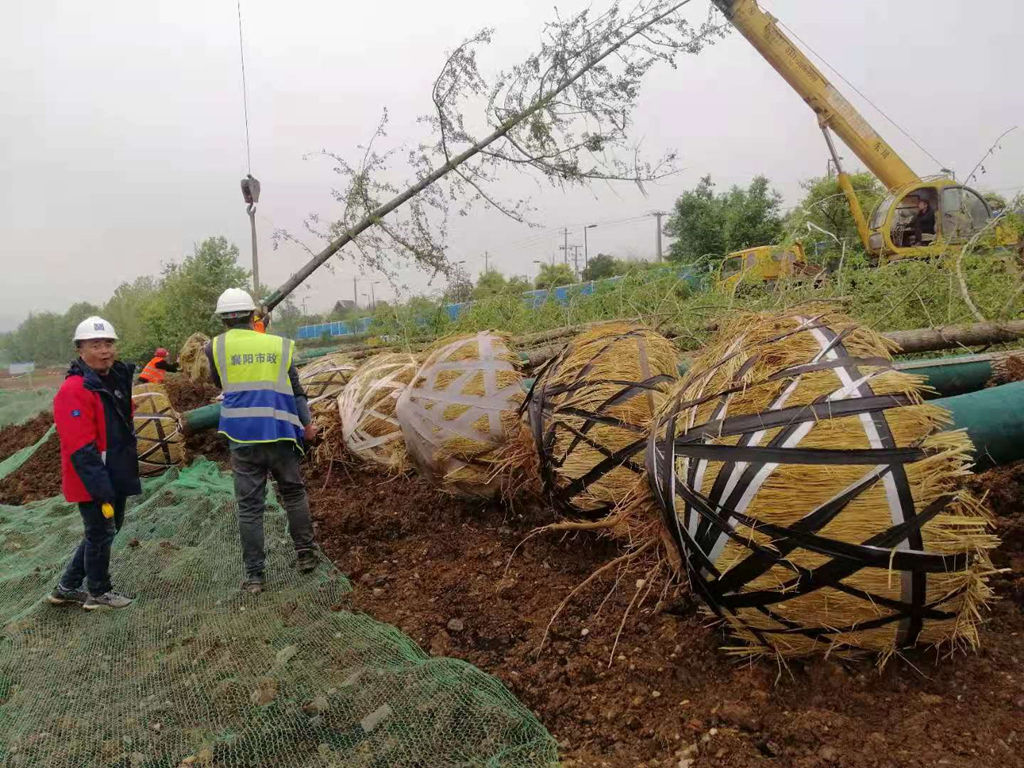 304am�������Ź���(�й�)���޹�˾-Official Website