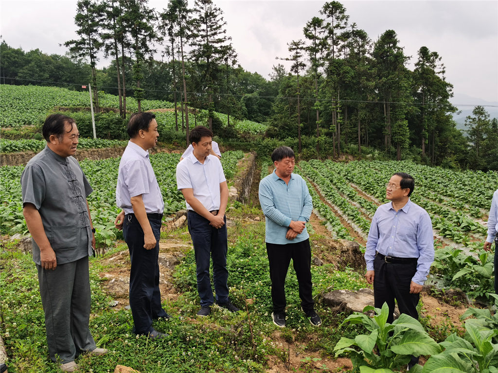 304am�������Ź���(�й�)���޹�˾-Official Website