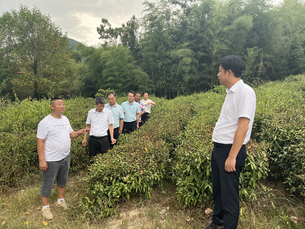 304am�������Ź���(�й�)���޹�˾-Official Website