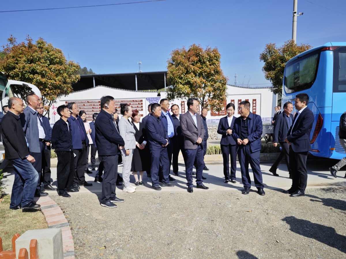 304am�������Ź���(�й�)���޹�˾-Official Website