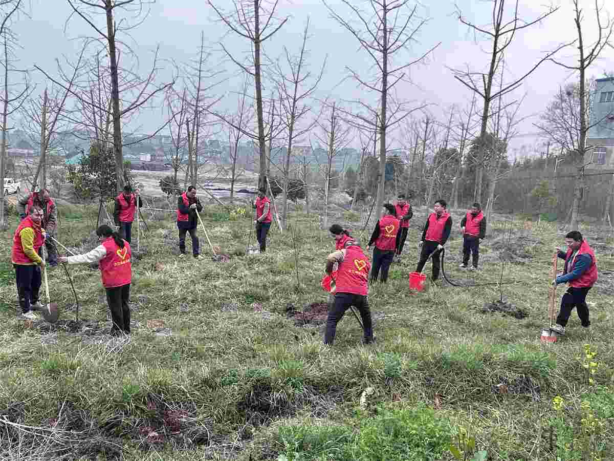 304am�������Ź���(�й�)���޹�˾-Official Website